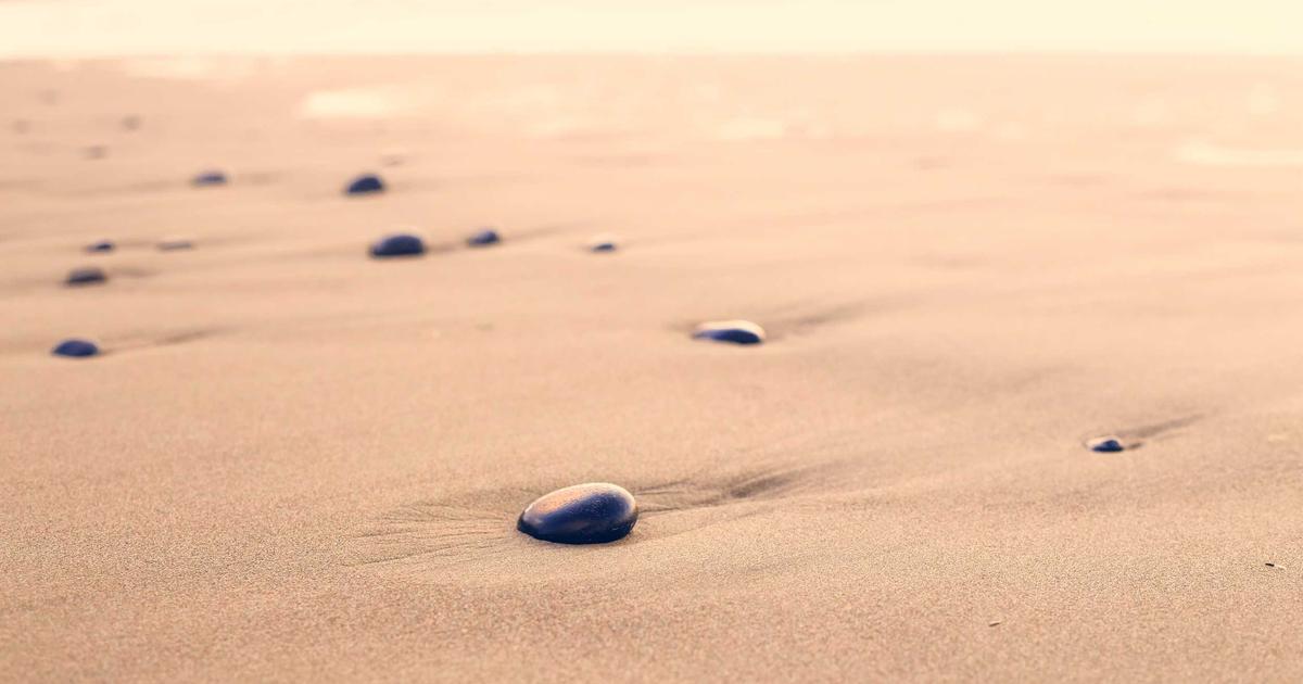 Your Website Isn't the Bottleneck. Your Intake Flow Is.